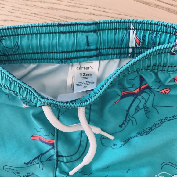 Baby Boy 2-Piece Swim Set — 12M | Rashguard Top + Dino Swim Shorts - Picture 9 of 10